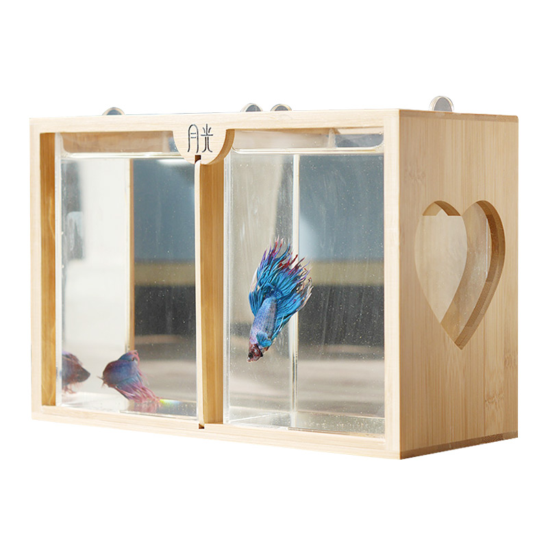 泰国生态懒人斗鱼缸迷你小型创意亚克力LED灯