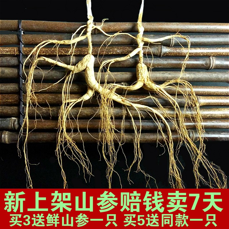 长白山人参正宗野山参野生干林下参正品移山参东北吉林煲汤泡酒参