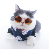 原创卡通宠物口水巾猫咪狗狗三角巾围嘴泰迪博美小型犬围脖领巾潮