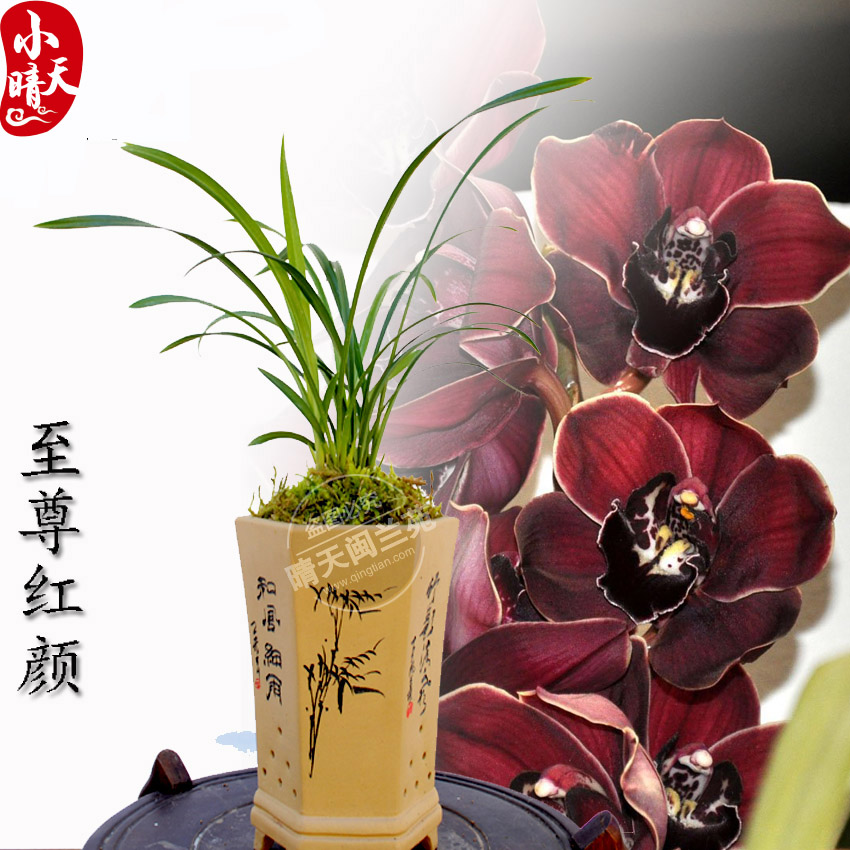 罨ļ  칫ֲ̨!