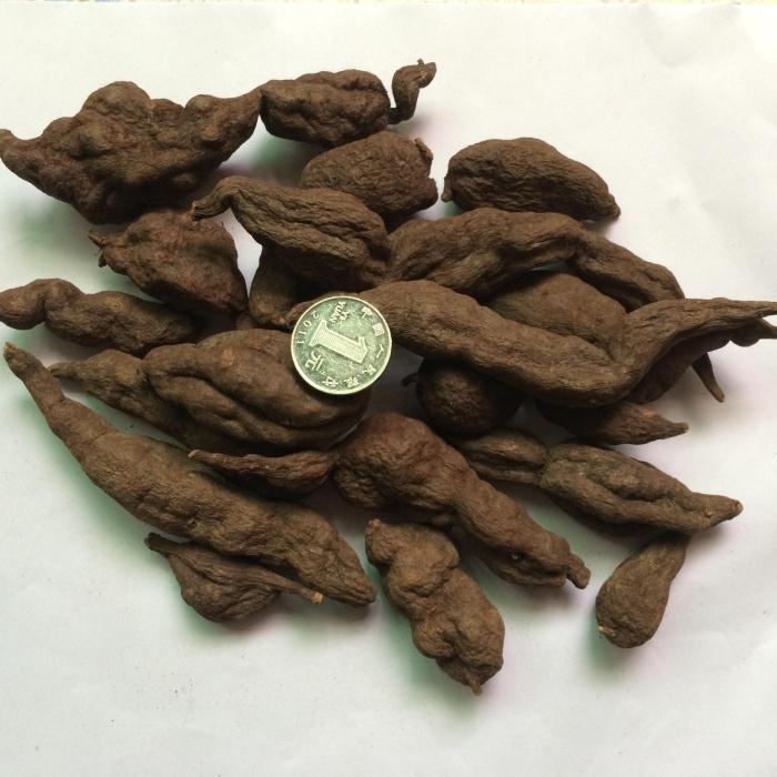 野生何首乌 德庆中药材生晒干未制何首乌仔小茴香猪肚汤用于胃 病