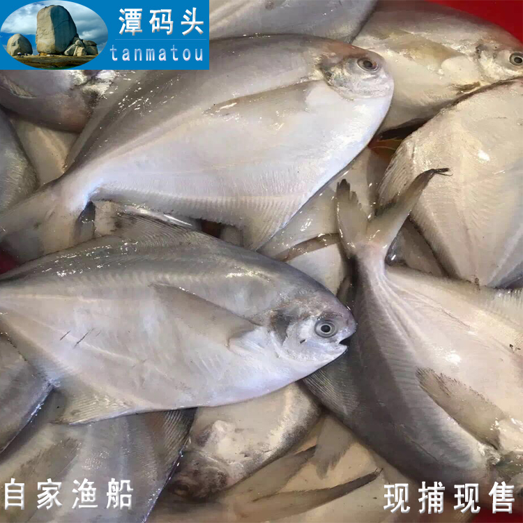 正品[野4060 旺旺在线]yy4060在线网站评测 鱼