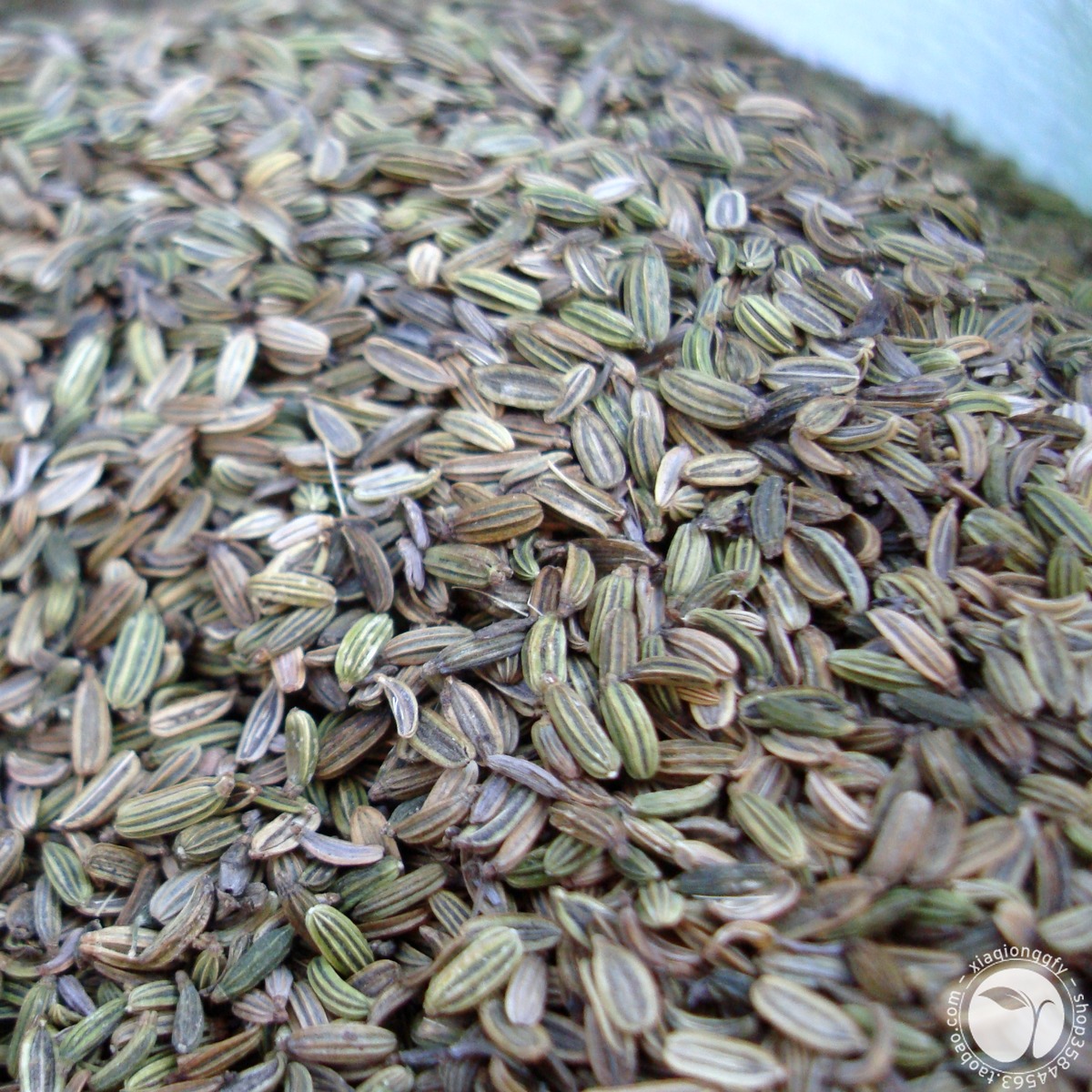 大茴香粒云南调味邮腌大料八角五香卤粉桂皮代购香料包炖肉品炒菜