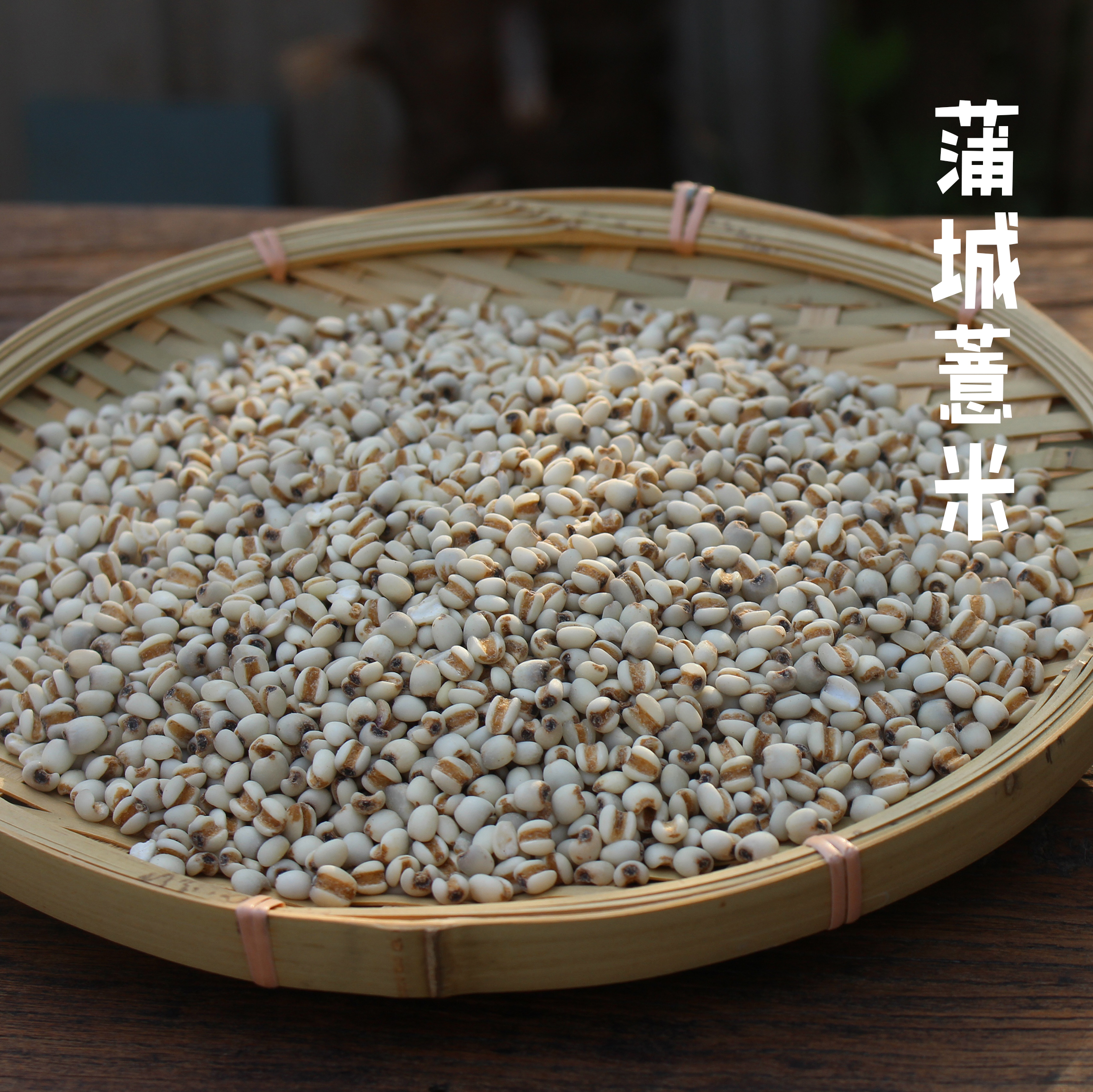 福建浦城白壳薏米小薏仁米药用首选【国家唯一地理标志薏米仁】