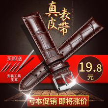 真皮表带男女手表带牛皮针扣配件卡西欧浪琴天梭CK手表链精工DW