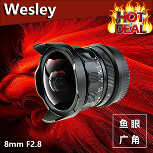 mm定焦1:1微距大广角镜头移轴建筑背景虚化无