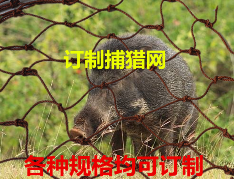 无敌捕猎网 野猎网 防野猪网 麂子网 围网 山羊网绳粗5毫米