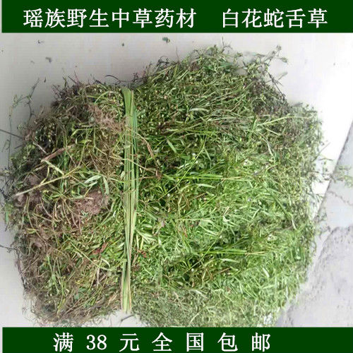 野生中草药材 白花蛇舌草 另有新鲜半枝莲出售下单现采两斤包邮