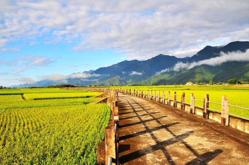 鑫雅金色麦田蓝天白云自然风景画墙纸壁画现代简约客厅电视墙壁纸