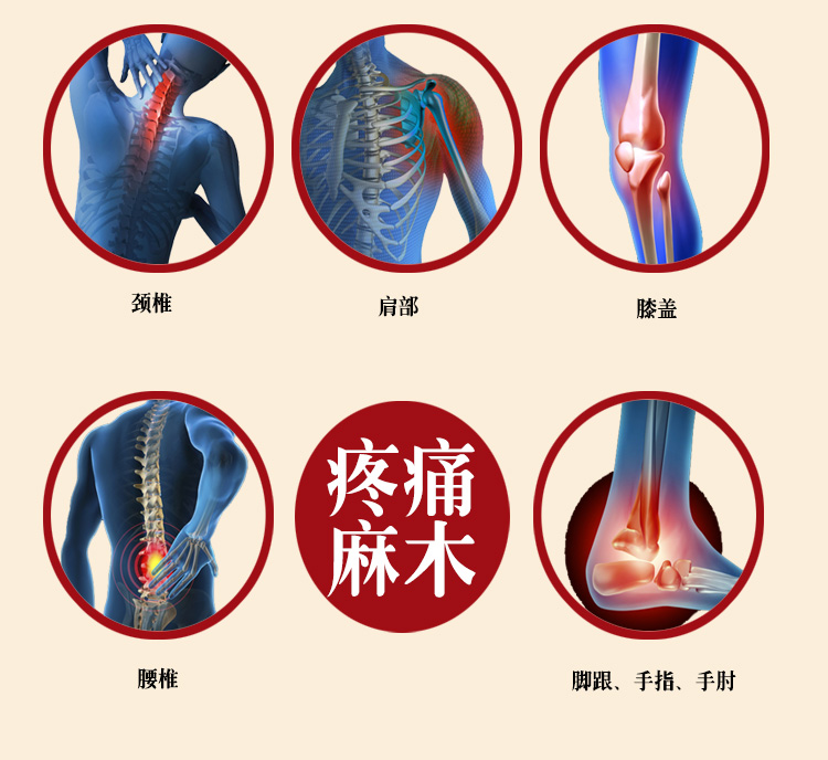 颈椎腰腿痛关节疼包邮中药材泡酒料红毛药酒白花蛇全虫蝎子蜈蚣