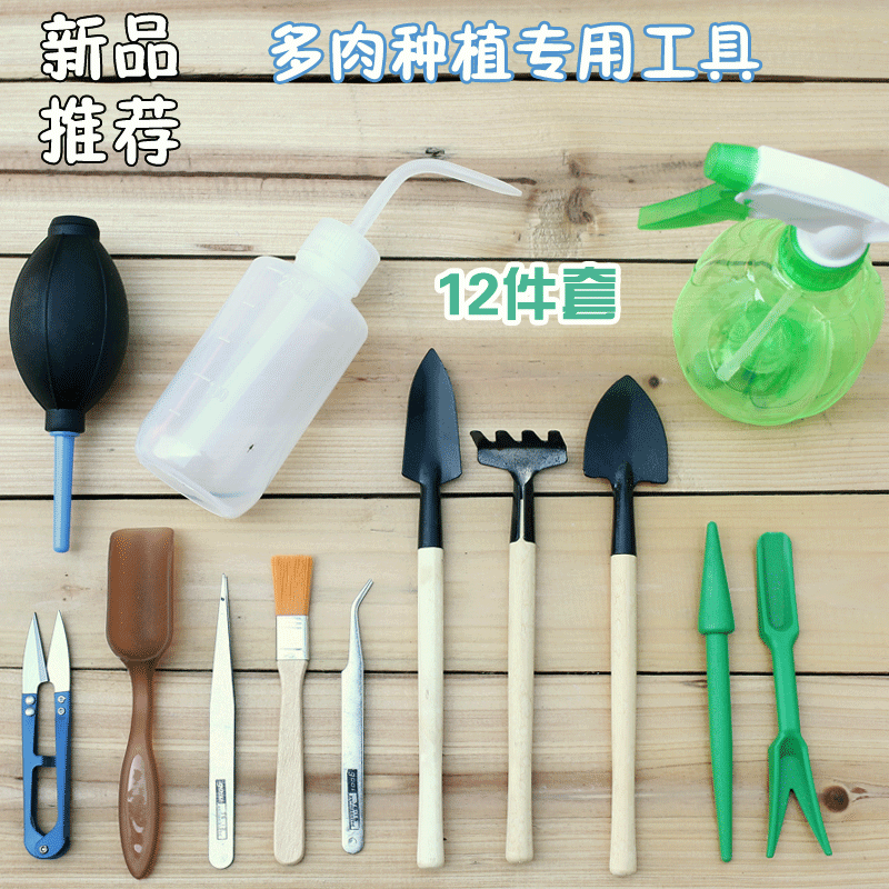 新手多肉植物专用工具套餐组合清洁简易套装浇水壶镊子气吹养花