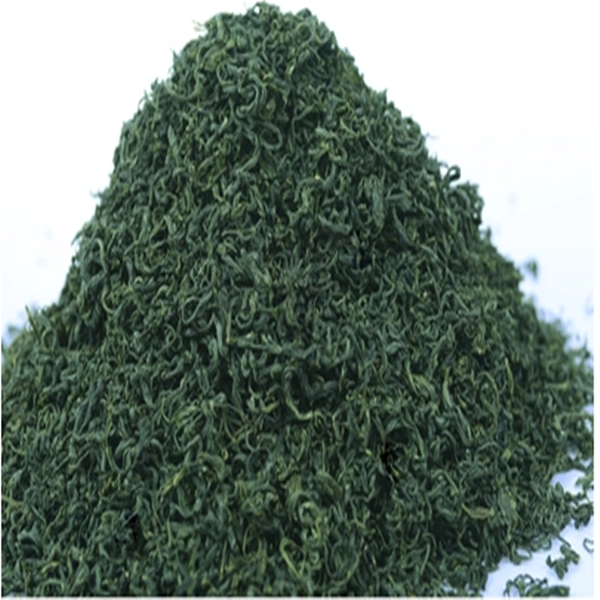500克 包邮浓香耐泡型 新茶叶 日照充足绿茶高山云雾茶 春茶 散装