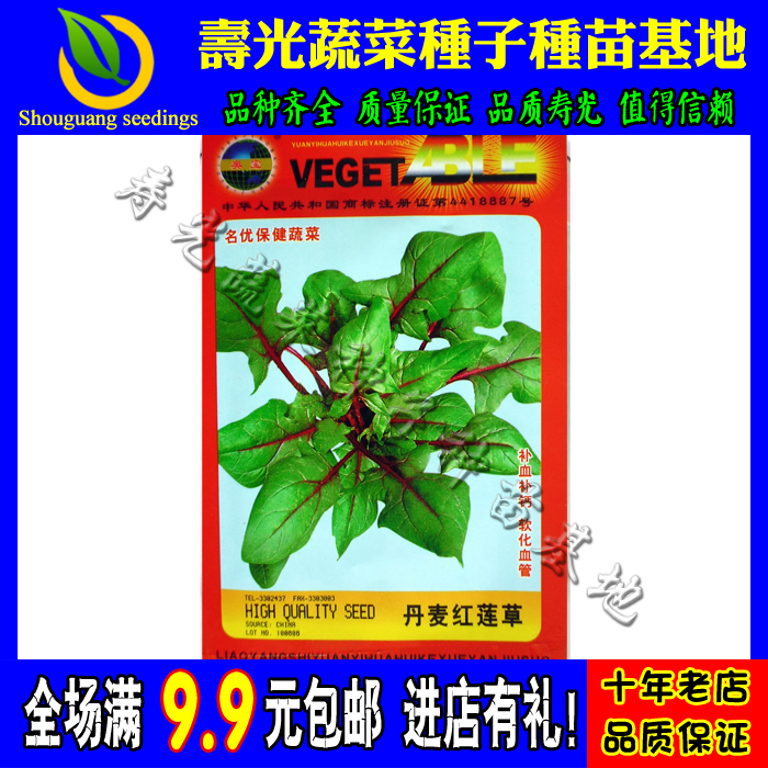 特色名优保健蔬菜丹麦红莲草补血补钙软化血管