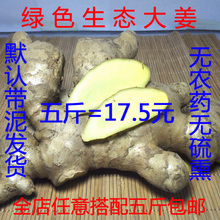 包邮 山东农家大姜月子姜新鲜生姜窖藏黄姜土姜药用姜老生姜特产
