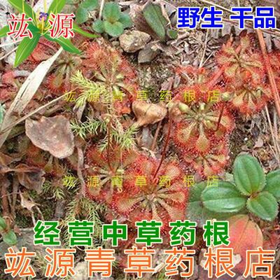 青草药根 野生落地金钱 钉地金钱 锦地罗 癣草 金雀梅 丝线串铜钱