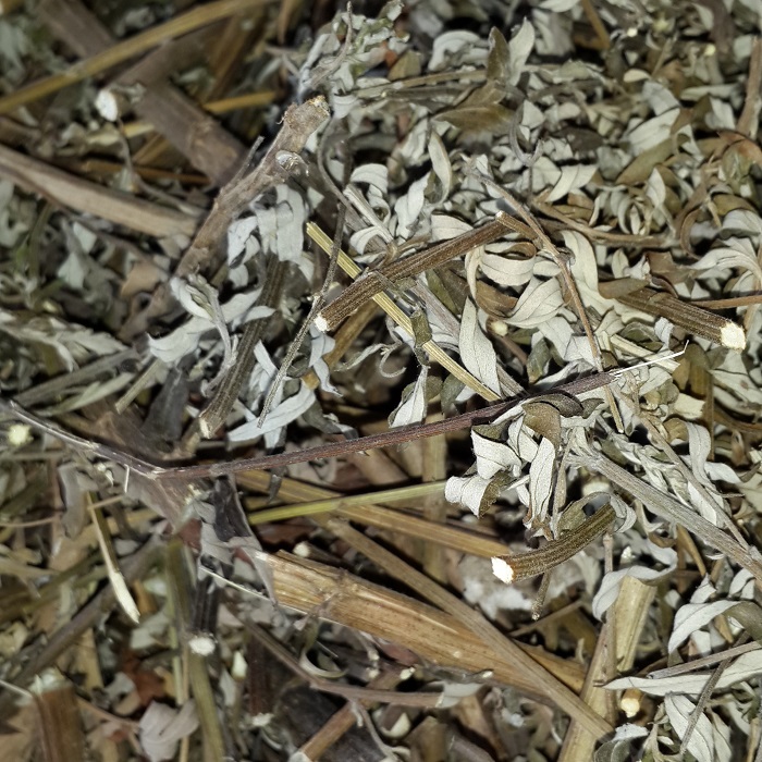 艾叶 野生艾草 艾绒 艾茸 五月艾 老艾骨 艾煲鸡客家特产/5斤包邮