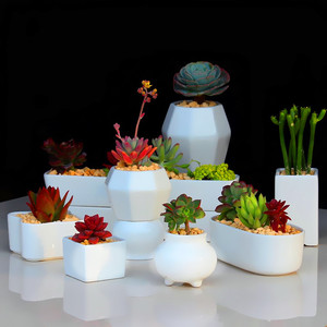 陶瓷白瓷多肉植物花盆