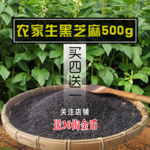 包邮 生黑芝麻生500g纯新货沂蒙山天然山东农家自产 5斤40元