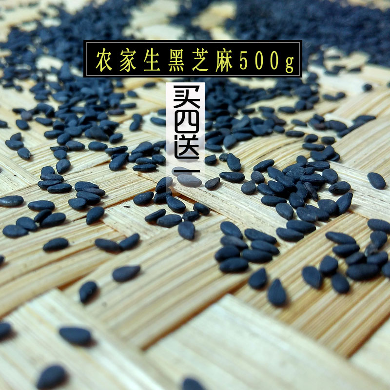 有机生黑芝麻一级生500g新货沂蒙山纯天然山东农家自产包邮特级