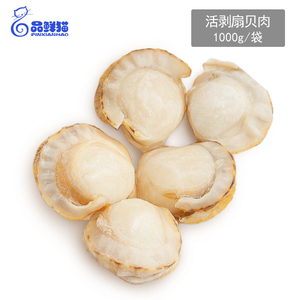 鲜活现剥新鲜扇贝肉1000g袋装