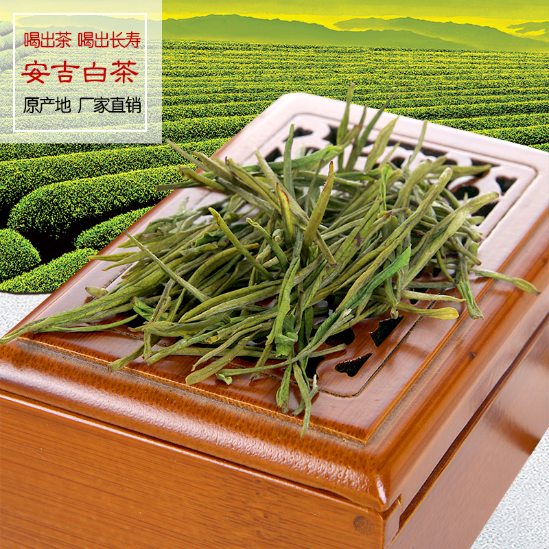 安吉白茶100克 雨前特级 2016年新茶叶 正宗产地珍稀绿茶春茶礼盒