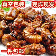 包邮 40只1件 2017新鲜油炸知了猴龟炸金蝉蝉蛹唐僧肉即食真空包装