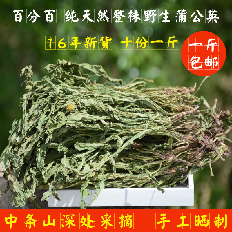 2016纯天然 整株 野生蒲公英 整棵 蒲公英茶 干货婆婆丁 一斤包邮
