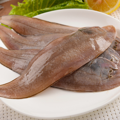 新鲜海鲜 野生舌头鱼 踏板鱼 龙利鱼 鲜活冷冻水产 海鱼宝宝辅食