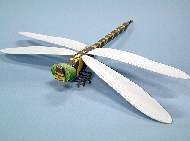 蜻蜓纸模型 diy儿童手工折纸儿童玩具 仿真昆虫 纸蜻蜓纸玩具