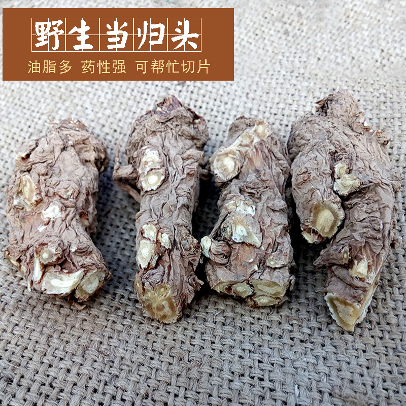 精选甘肃纯天然野生当归头500克包邮无硫特级农家中药材帮切片粉