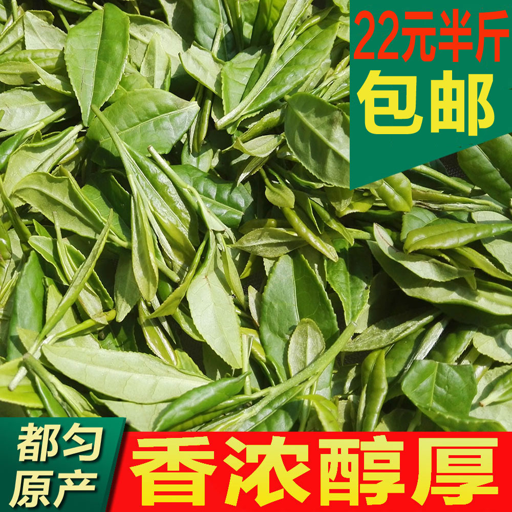 贵州茶叶2016新茶都匀毛尖茶嫩芽绿茶250g散装包邮袋装正宗农家茶