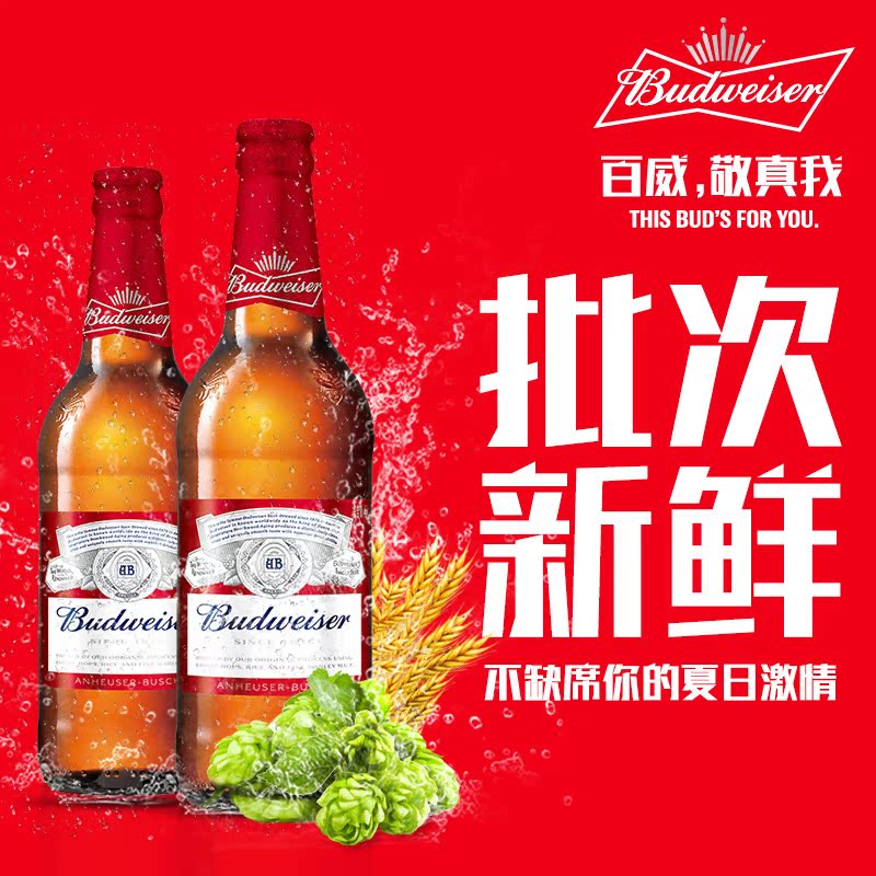 瓶装大瓶装小麦啤酒整箱促销 12 460ml 百威啤酒美式拉格 budweiser