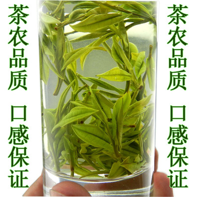 2016年新茶正宗安吉白茶明前特级春茶珍稀白茶高山绿茶叶250g包邮