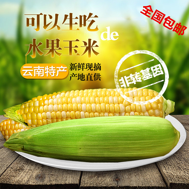 9斤云南农家新鲜现摘水果玉米棒非转基因甜玉米粒绿色有机可生吃