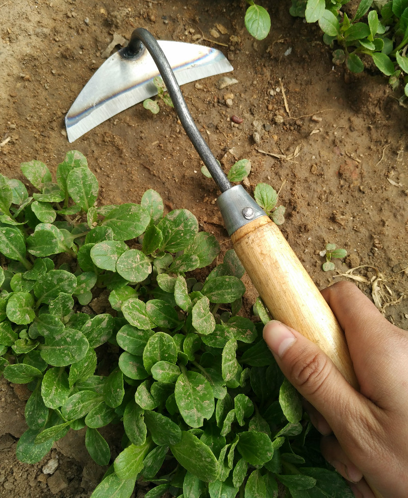 绿化园艺铲农用工具花园种花种菜铁铲子小锄头耙锄菜园除草挖野菜