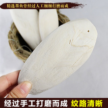 鹦鹉饲料 虎皮牡丹玄风鹦鹉专用磨牙补钙用品 海螵蛸 精选墨鱼骨