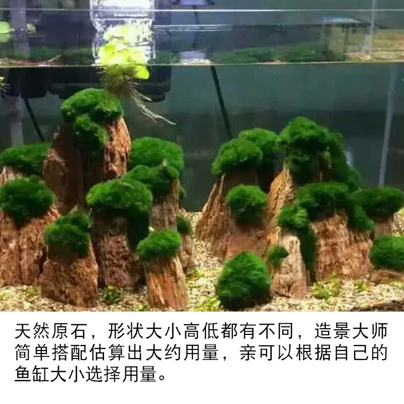 鱼缸造景三角莫斯水草缸红木纹石水族箱装饰造景草缸假山石包邮