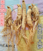 吉林长白山人参白参原皮可切片打粉生晒参全须园参250g35支泡酒料