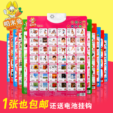 婴幼儿童早教发声挂图发音认知卡拼音有声挂图宝宝看图识字认字母