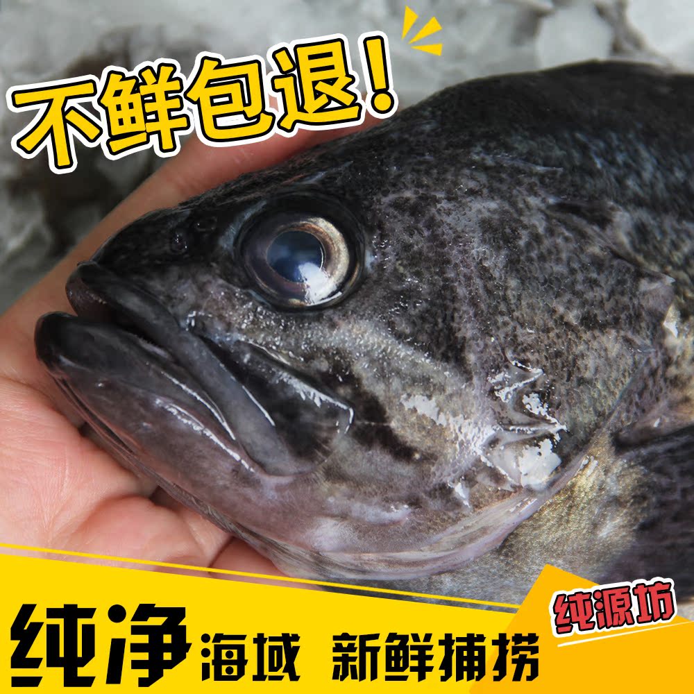 3斤包邮顺丰 青岛野生新鲜活黑头鱼 黑寨花猪嘴鱼豆腐