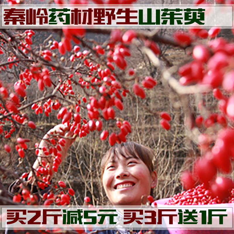 秦岭野生中药材山茱萸山萸肉山芋肉干山茱芋山茱肉枣皮500克包邮