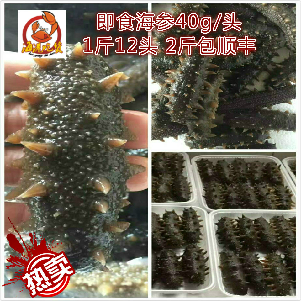 烟台深海野生即食海参刺参辽参高压活参40g/1只海鲜水产新鲜包邮