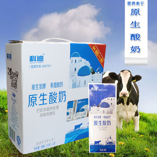 科迪乳业原味原生低脂营养常温酸奶早餐奶酸牛奶250g*12盒包邮