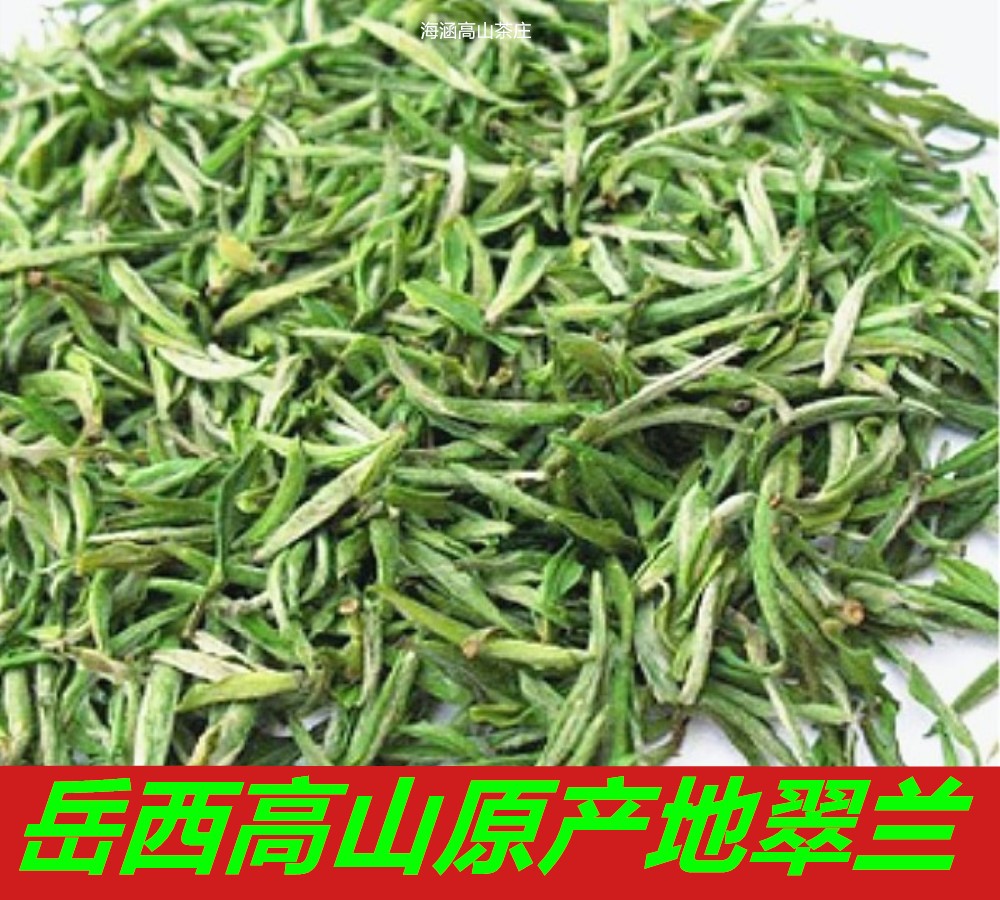 安徽特产岳西翠兰茶叶2017年新茶正宗高山特级翠尖云雾绿茶250g罐