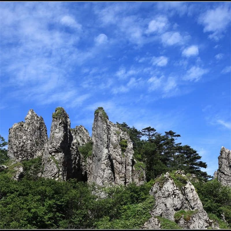 神农架国际生态旅游区成人票(六大景点套票) 神农架自驾游 野人谷