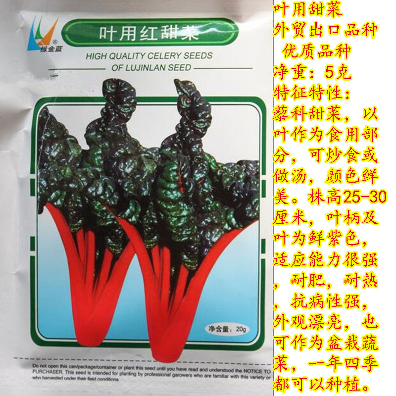天然补血蔬菜红根达菜种子 红菠菜叶甜菜 金叶甜菜种子红更菜种子