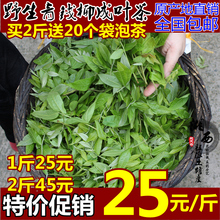 全国 包邮 成叶茶清钱柳茶金钱柳 原产地直销野生青钱柳原叶茶