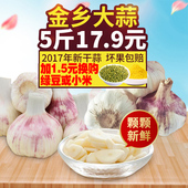 包邮 批发5斤大蒜头特产 山东金乡大蒜2017年紫皮红皮新干蒜低价