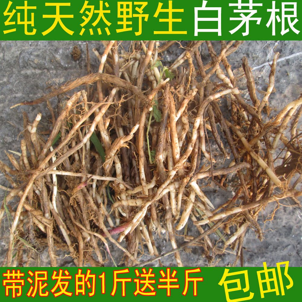 野生白茅根新鲜黄毛草须中草药现挖茅草根真空包装100