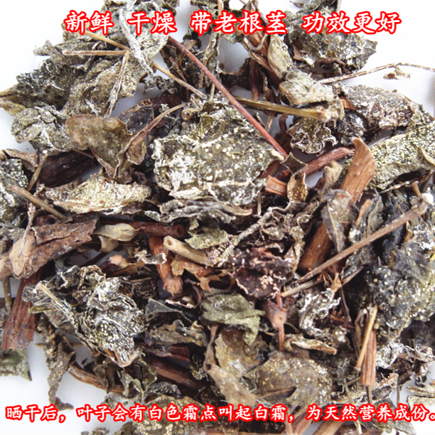 正宗野生溪黄草茶 农家花草原茶无添加广东凉茶熊胆草土黄连500克